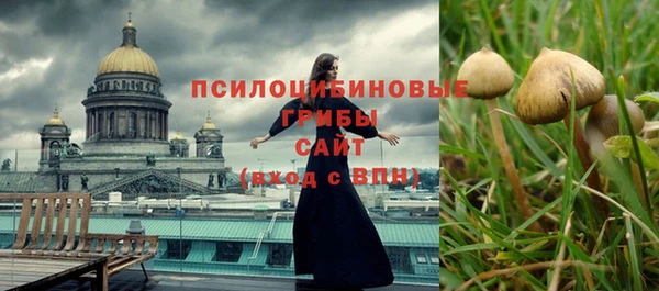 метадон Алексин