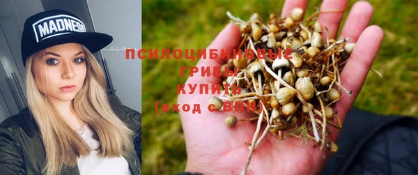 каннабис Алексеевка